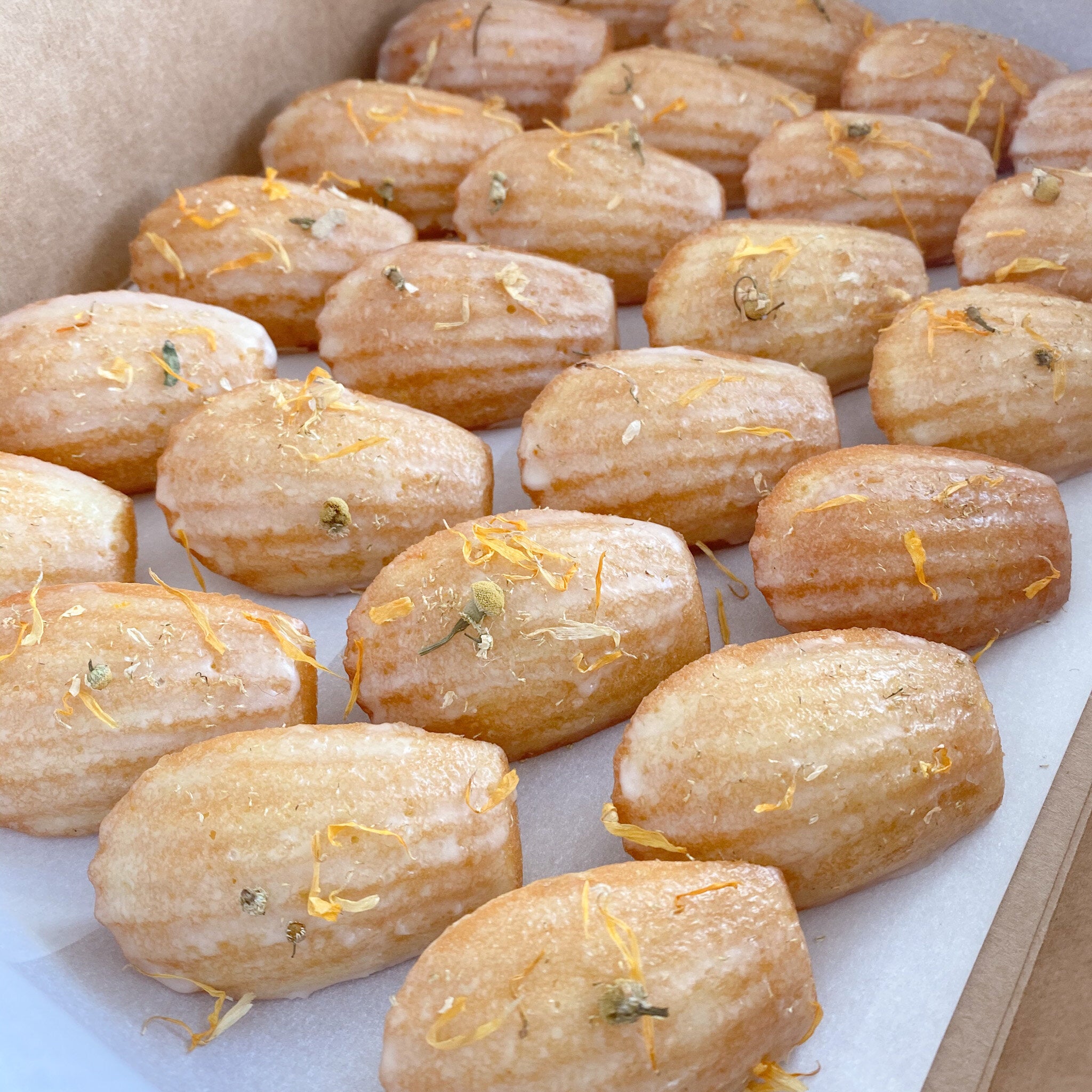 Madeleines, box of 24 – Shop Wild Rose Cakes